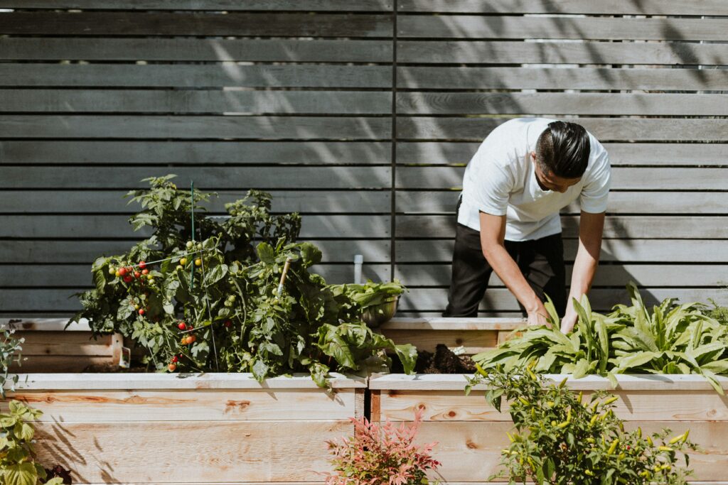 10 DIY Planter Box Ideas for Your Garden