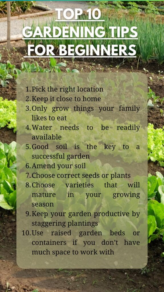 Best Tips for Home Gardening