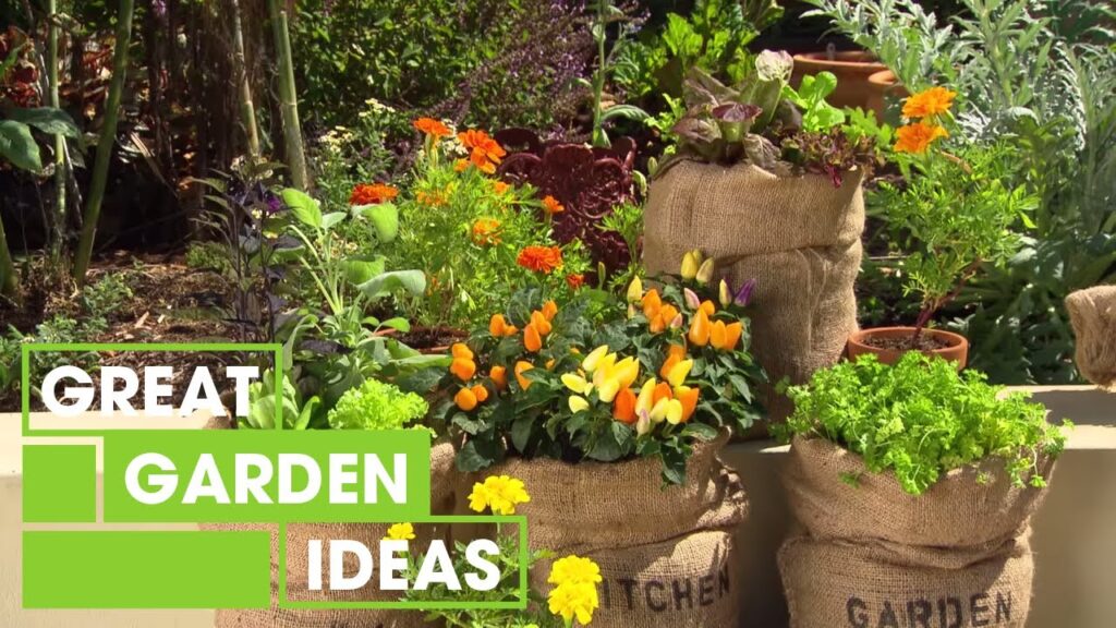 Best Tips for Home Gardening