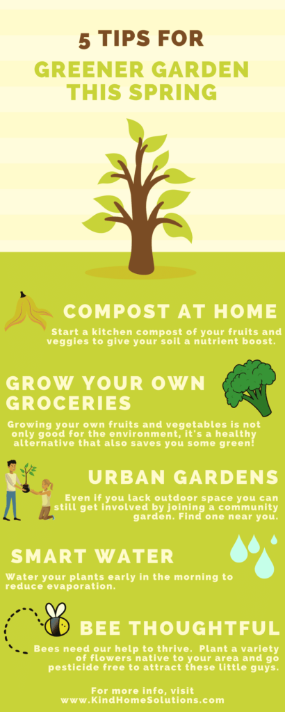 Best Tips for Home Gardening